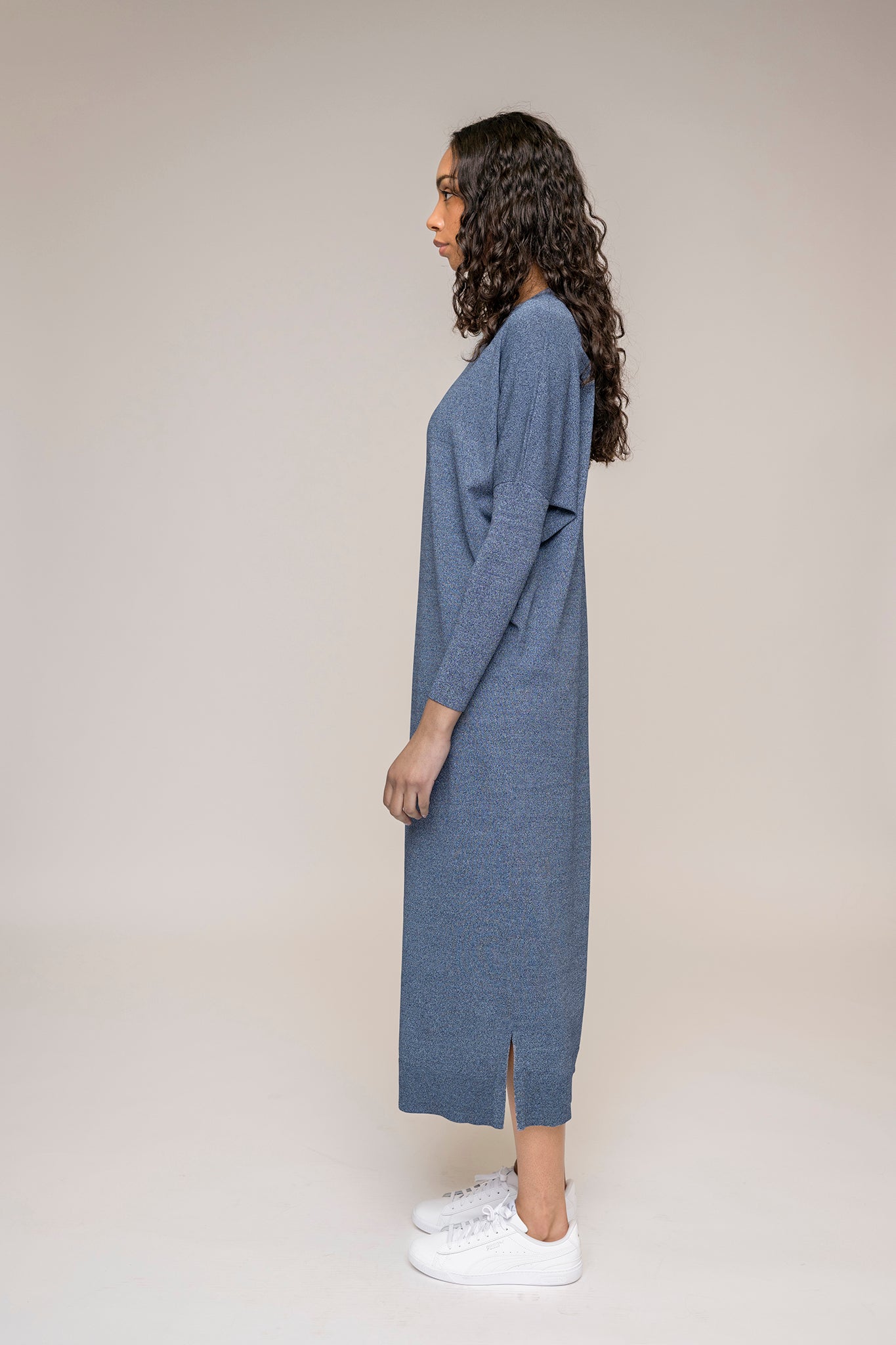 Perilla Dress in Denim