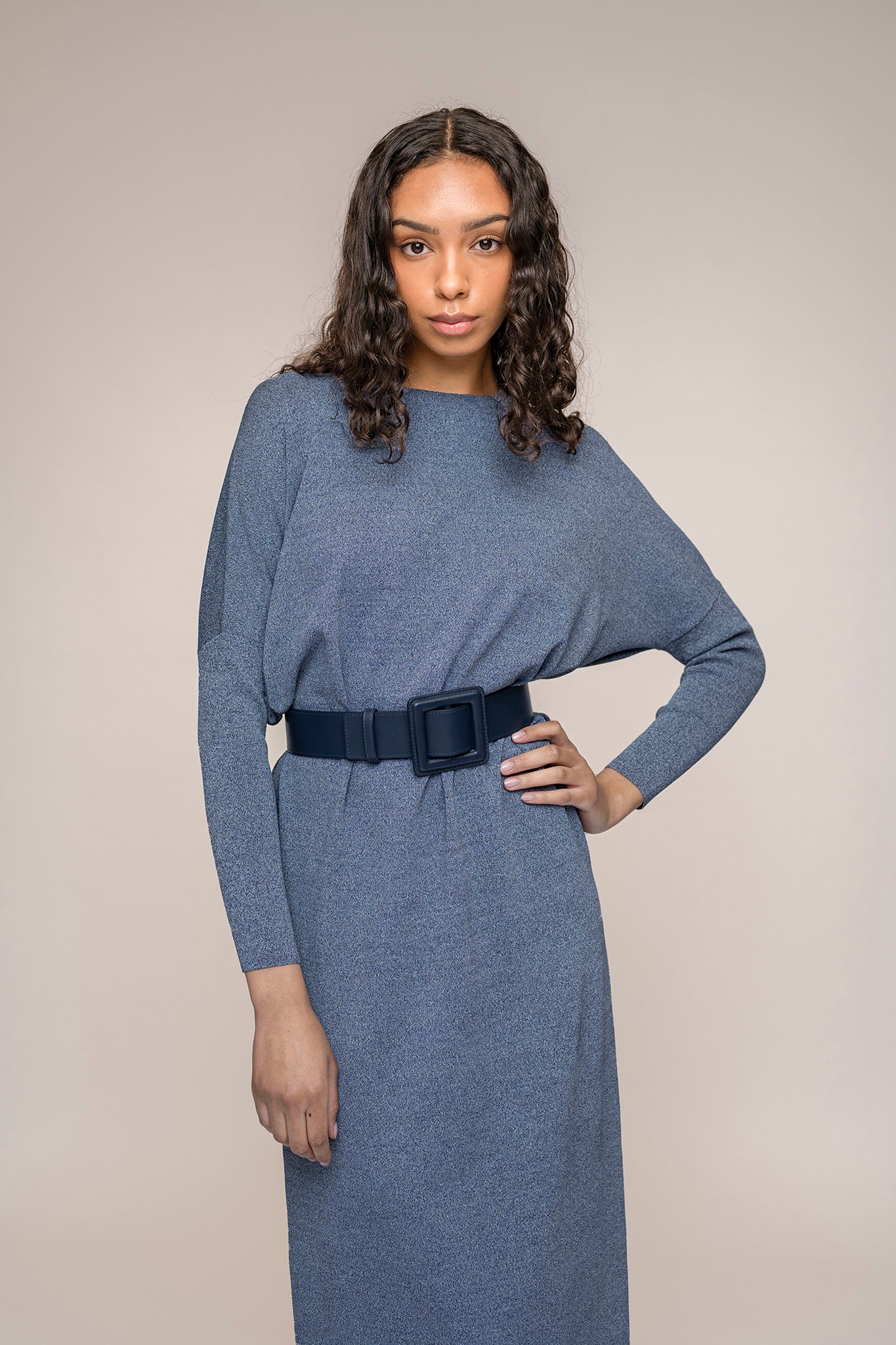 Perilla Dress in Denim