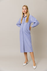 Embellished Cotton Shirt Dress in Blue