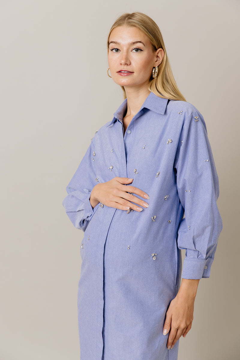 Embellished Cotton Shirt Dress in Blue