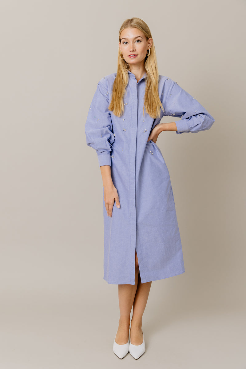 Embellished Cotton Shirt Dress in Blue
