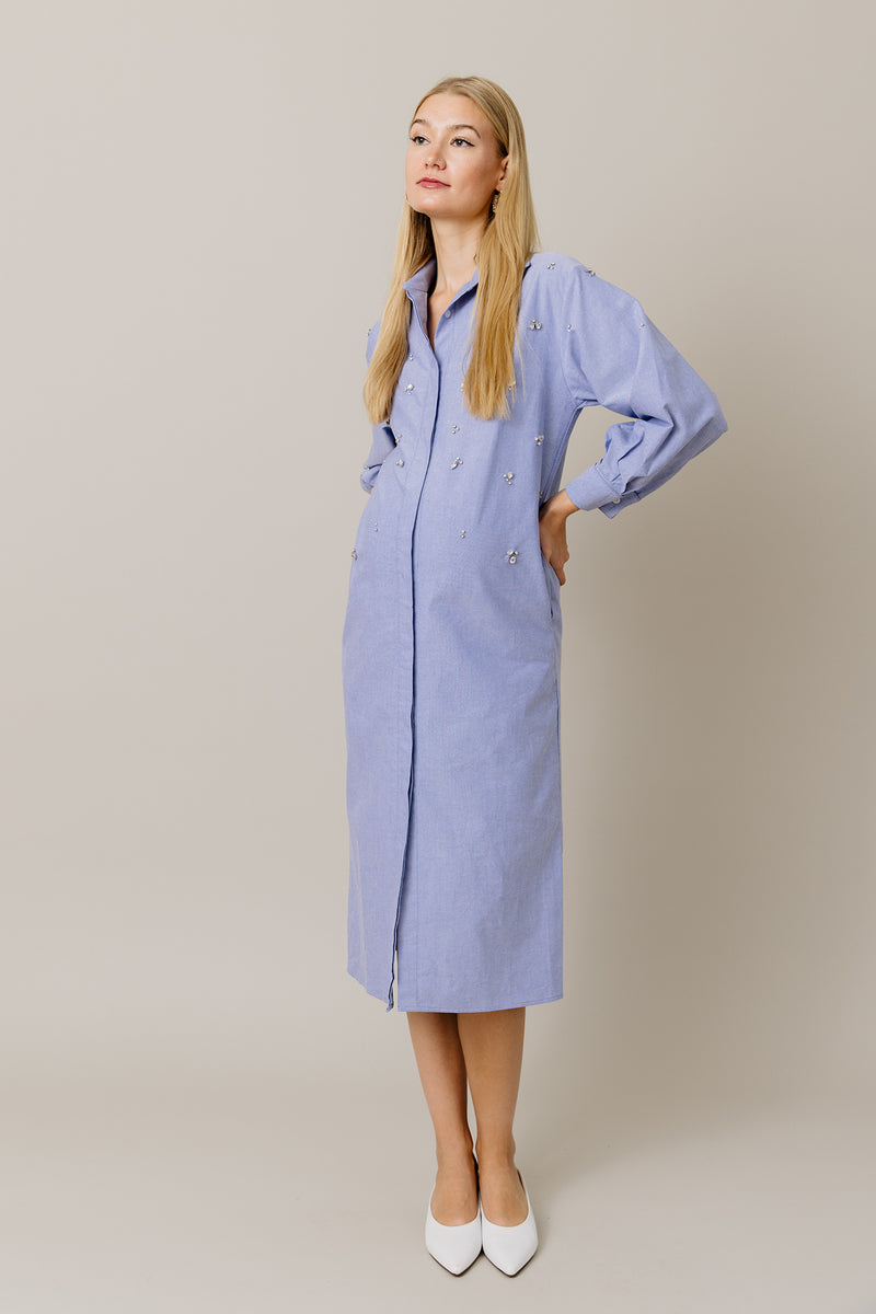 Embellished Cotton Shirt Dress in Blue