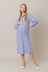 Embellished Cotton Shirt Dress in Blue