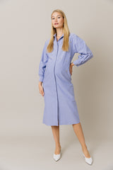 Embellished Cotton Shirt Dress in Blue